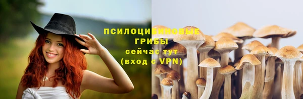 крисы Россошь